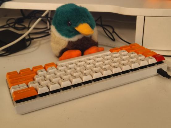 A dopey looking duck plush (a Puffkin) in front of a small mechanical keyboard