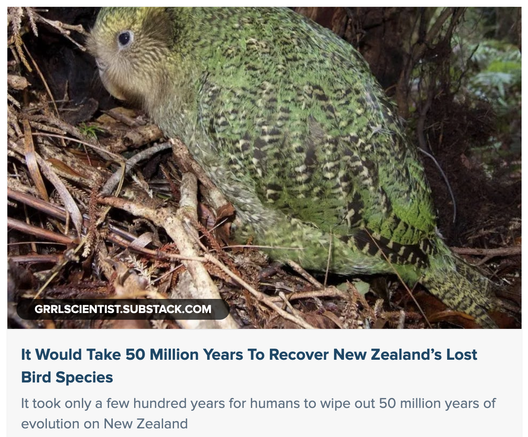 kakapo