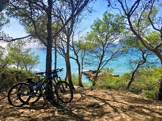 Blick von einer Anhöhe auf das leuchtend türkisfarbene Meer bei Mallorca. Auf dem kleinen, erdigen Platz stehen ein paar typische Bäume und viele Straücher am Hang. An einem Baum links lehnen 2 Fahrräder. Der Boden ist uneben, durchzogen von Baumwurzeln und einigen kleinen Steinen.