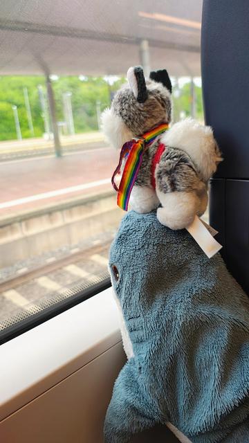Husky Lea steht auf Smolhajs Kopf. Beide schauen aus einem Zugfenster nach draußen.