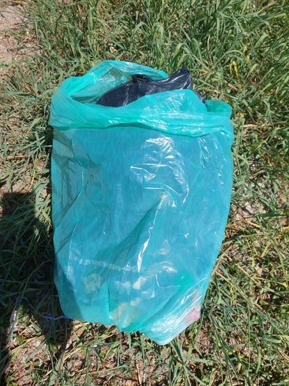Un sac poubelle vert plein de déchets est déposé sur l' herbe ( on aperçoit un sac gris à l' intérieur du sac vert. L' ensemble est prêt à rejoindre un bac à ordures