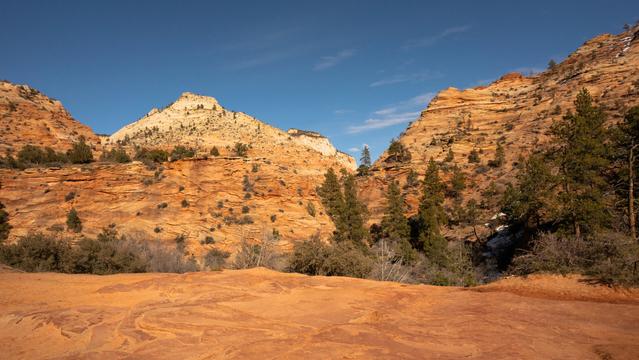 Wide landscape of Zion National Park, with mountain ranges, brush, and Ponderosa pine. The ground shows the formation of the rock-face over time.

Source text: https://www.song-bar.com/song-of-the-day/tinariwen-toumast-tincha
https://www.allwaysadventure.com/discovering-zion-s-wildlife-a-guide-to-the-park-s-inhabitants