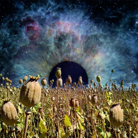 More Experience — Horizons of Events cover art