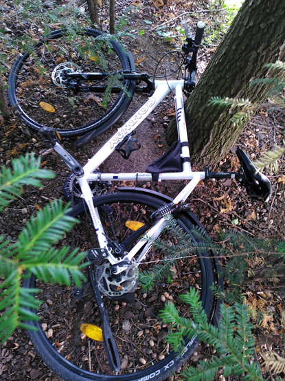 Ein vermutlich entwendetes weißes Trekking-Rad liegt in einem Gebüsch.