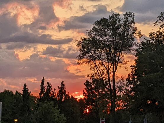 A cloudy sky lit up by a sunset peeking through trees.