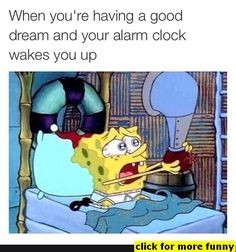 SpongeBob Meme