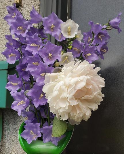 A close-up of a flower arrangement with tall stems of purple bellflowers mingled with a few white bellflowers, complemented by a large, creamy white peony bloom. The flowers are arranged loosely in a vibrant green vase. Background is a textured gray surface and a pale beige stucco wall.