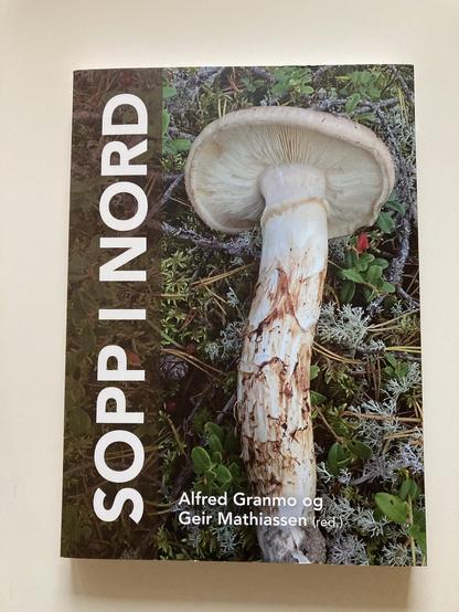 Bok som heter Sopp i nord