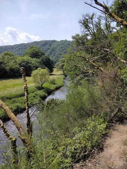 Rechts unten im Bild ein sehr schmaler Weg. Direkt daneben Gestrüpp und ein Steilhang. Unten ist das Flüsschen Nister zu sehen, eine Wiese und Wald. Am Horizont ein bewaldeter Berg und blauer Himmel mit wenigen weissen Wolken.
