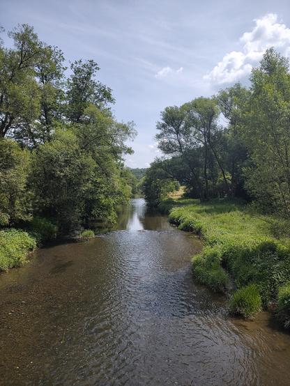 Blick von einer Brücke auf die Nister. Beidseitig Büsche und Bäume. Im Hintergrund Wald und blauer Himmel mit wenigen weissen Wolken.