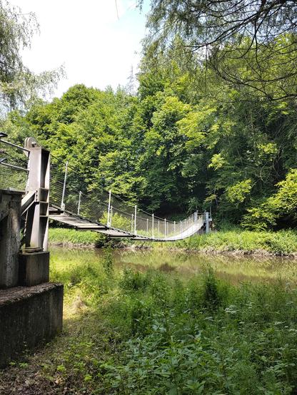 Eine Hängebrücke über die Nister, Bäume, Himmel