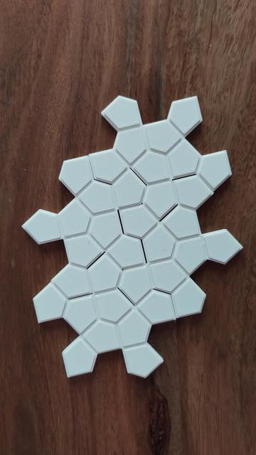 3d printed Cairo Turtle assembled. White plastic on wooden boards