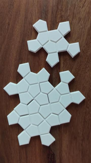3d printed Cairo Turtle unassembled . White plastic on wooden boards