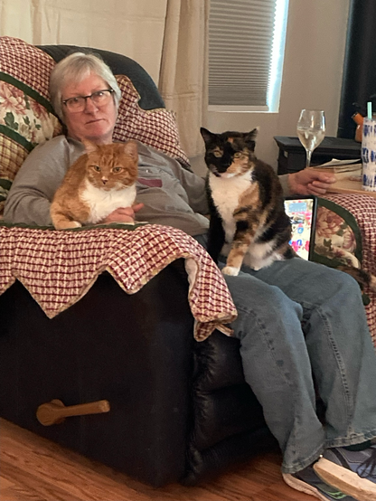 Two kitties, Mom and wine