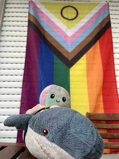 Ich bin der kleine Octopode auf dem Rücken meines Flauschezahn Kumpels, wir sind gerade mal noch raus auf den Balkon um euch die grooooße Regenbogenfahne hier zu zeigen!