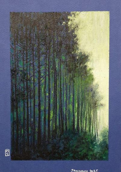 An oil pastel painting of the edge of a dark forest, tall densely planted trees in deep shade with bright golden light where the forest ends. A5 size on blue paper.
This is an original art work
Fine art oil pastel on toned pastel paper
Size A5 (21cm x 14.5cm)
Sold unframed