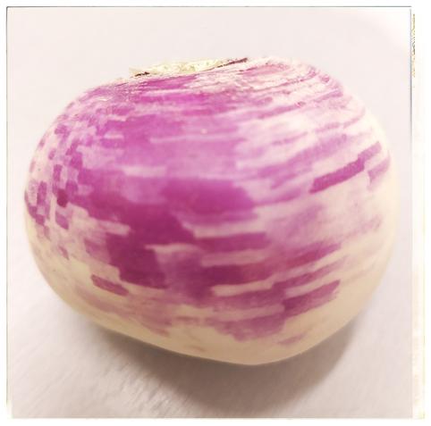 Un navet violet où le blanc et le violet se melangent comme des pixels de jeux vidéo ou glitch.