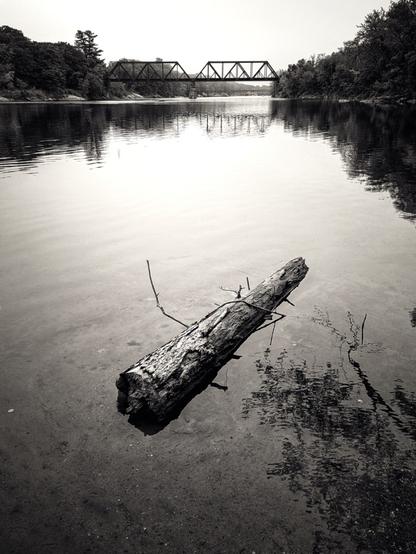 A log rests in still, shallow waters on the shores of the river, in the distance an unused train trestle ties the opposing tree lined river banks together