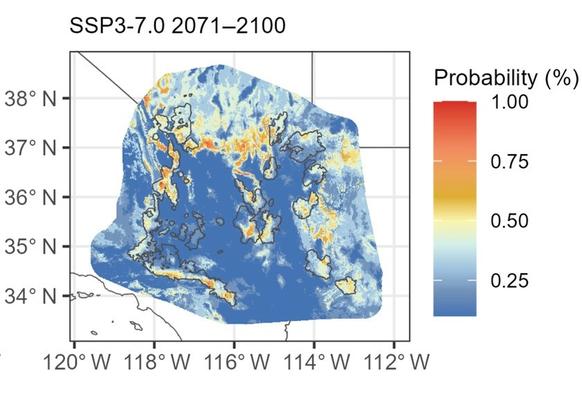 Map of projected future habitat probabilities for Joshua tree populations based on random forest models of presence and absence, for the years 2071-2100 under SSP3-7.0. Parts of the trees' current range, indicated as outlines, are colored to indicate high probability of presence, but many parts are colored to indicate lower probability