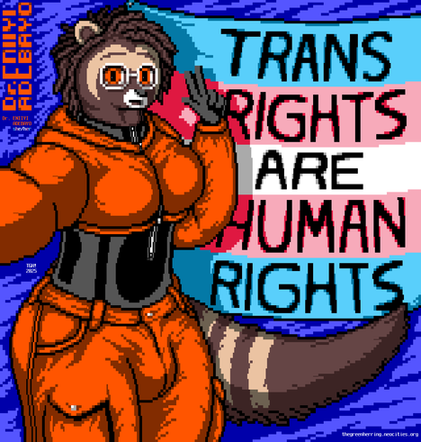 A hips-up selfie taken by a slender trans civet lady in front of a trans pride flag hanging on a wall with text on it that reads, "Trans Rights Are Human Rights". She has medium-length kinky hair, orange eyes, round silver glasses, and an open-smouthed smile. She is wearing a cropped orange hoodie and cargo shorts over a black bodysuit with a zipper in the front, and their tight fit shows she is buxom and does not tuck. She is holding her phone with her right hand, and posing with her left arm raised giving a peace sign and pushing her chest inward. She has lifted her thick tail under the flag, showing its dark stripes and tip as well as the strip of long hair running along the top. In the upper corner, some stylized orange text identifies her as Dr. Eniiyi Adebayo, and text colored like the trans pride flag gives her pronouns as she/her.