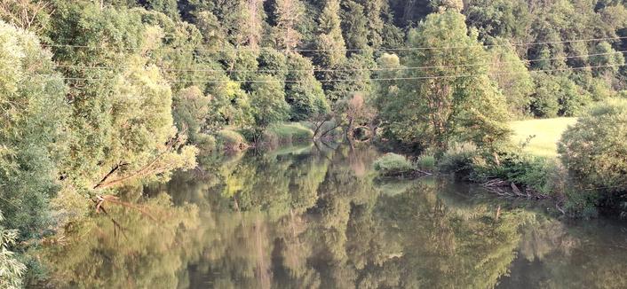 A view of the river Kocher. The trees at the banks floor in the golden evening light, a reflection of the trees in the calm water.