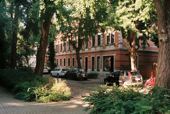 [english below] Das Foto zeigt die Hans-Sachs-Straße in Dresden im Sommer. Die Straße aus Kopfsteinpflaster ist von Ginkgos und grünen Rabatten gesäumt. Das Haus im Hintergrund ist aus roten Ziegelsteinen.

[english] The photo shows Hans-Sachs-Straße in Dresden in summer. The cobblestone street is lined with ginkgo trees and green borders. The house in the background is made of red bricks.