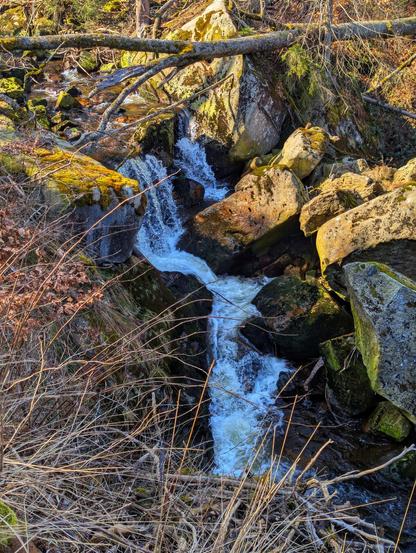 A stream of white, frothing water cascades down through a rocky, sunlit gorge. Large boulders, some covered in green moss, line the stream, which is framed by bare branches and sparse undergrowth on either side. Fallen logs also lie across the scene, with the warm, low light of the sun illuminating the water and rocks.