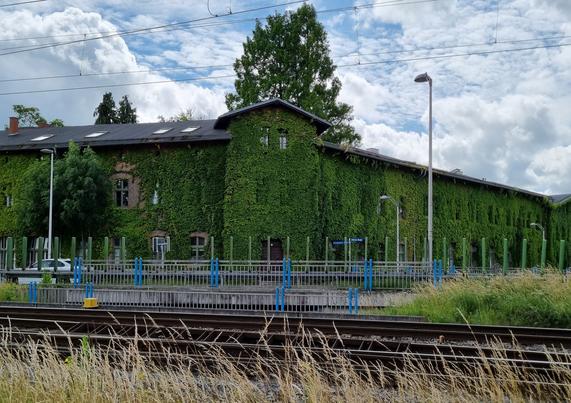#greifswald