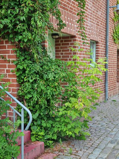 #greifswald