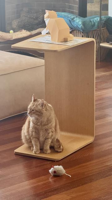 photo of the orange cat paper model on the table with a real orange car sitting underneath looking grumpy about being photographed in the vicinity of her doppelgänger.  There’s a fluffy catnip mouse toy in front of her.