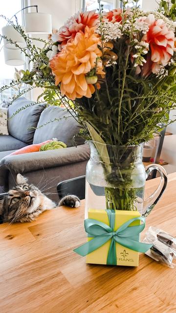 A bouquet of colorful flowers sits on a table beside a box of chocolates. A gray and white cat is standing close, intently sniffing the flowers as if inspecting them.