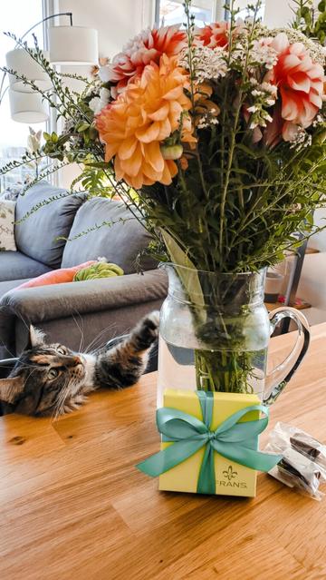 A close-up shot of the same floral arrangement shows the gray and white cat mid-action, reaching its paw toward the flowers as if trying to swipe them. The chocolates remain nearby on the table.