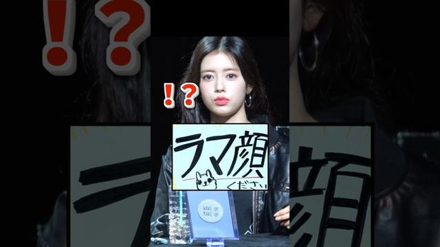 【伝説の】リマにラマ顔お願いしてみた結果… #rima #niziu