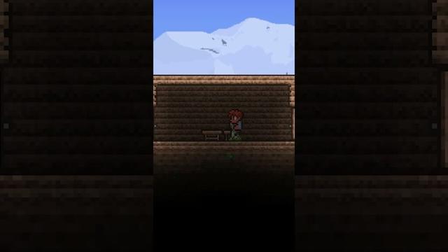 What is wrong with these Terraria Videos?