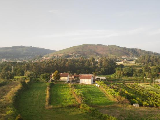 Two enclosed long fields, each with a house. In place of a garden each has a cultivated strip with what appears to be a single vegetable crop. An orchard field with dwarf trees runs alongside and there are hilks in the distance. Taken out of a muddy train window