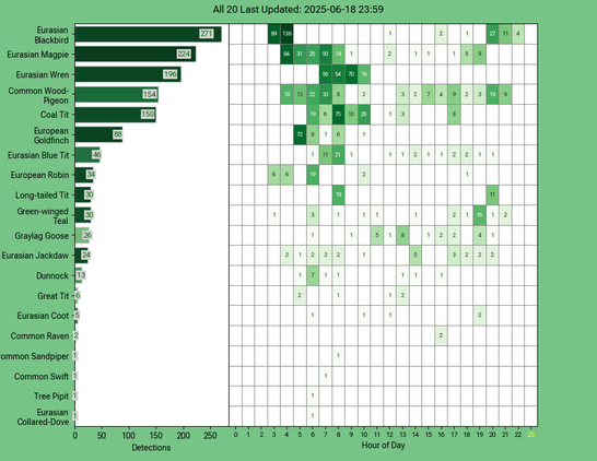 Today's top 20 bird chart