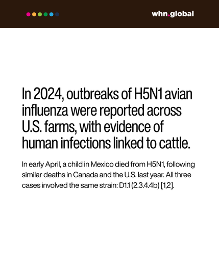 White background with WHN branding at the top.
Text reads:
"In 2024, outbreaks of H5N1 avian influenza were reported across U.S. farms, with evidence of human infections linked to cattle."
"In early April, a child in Mexico died from H5N1, following similar deaths in Canada and the U.S. last year. All three cases involved the same strain: D1.1 (2.3.4.4b) [1,2]."