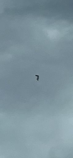 Caught this floater