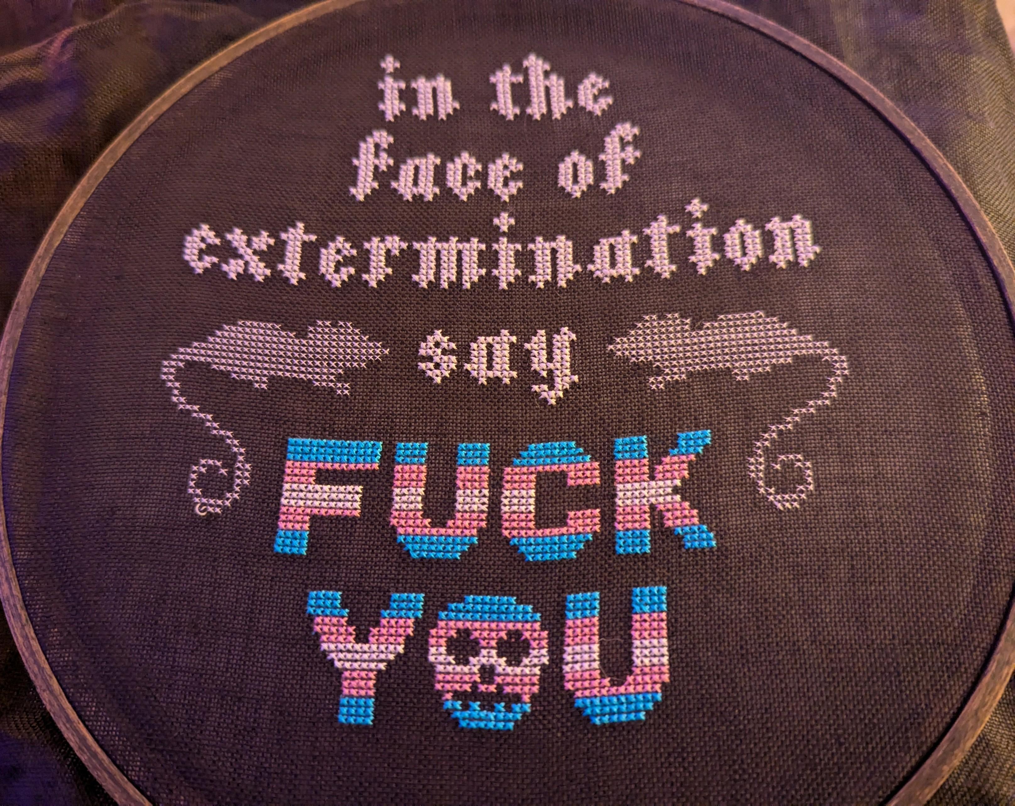photo of a cross stitch project that says "in the face of extermination say FUCK YOU." the fuck you is stitched in the colors of the transgender flag and the "O" in "you" is a skull. also there a couple of lovely rats stitched into the piece. almost done.