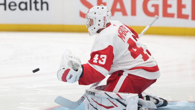 Detroit Red Wings Reportedly In Goalie Market