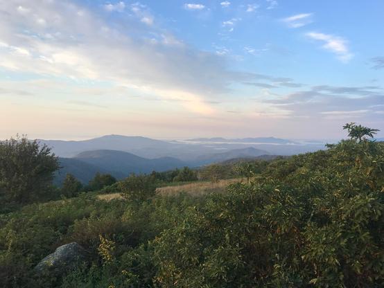 A beautiful mountain vista rises up from the horizon of a bushy meadow edge. Layered ridges stretch into the distance, each a deeper hazy blue than the one that came before it. The sky is partly clear, with a great crescent of lustrous white clouds stretching above.