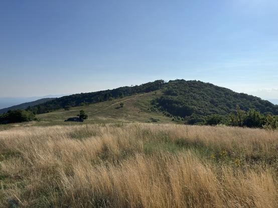 Fields of amber grass give way to a trail ascending through a clear area of a partly forested hilltop. This is the top of a mountain, and the air appears spacious and clear.