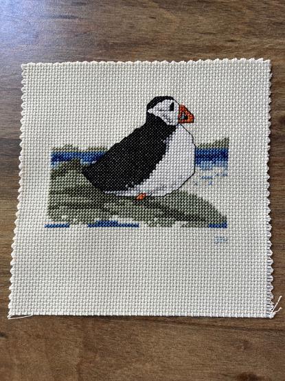 A cross stitched black and white Puffin bird with an orange beak and feet, sitting on greenish gray rocks by the sea. The design is stitched on a cream canvas.