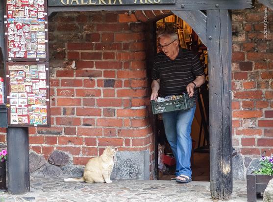 A very chonky ginger tabby is sitting calmly outside a shop doorway in Malbork Castle. The storekeeper is just exiting the store, holding a basket of unidentified goods, looking down at the cat, and clearly speaking to it. The cat, placid, is looking at him with its eyes only.