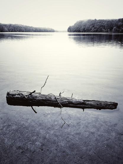 The vision of a log seemingly appears to levitate in thin air against the expansive and calming backdrop of the Androscoggin River at high tide