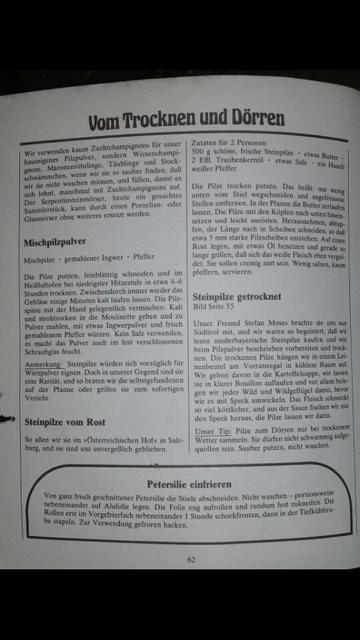 Bild Seite 62 mit verschiedenen Pilzrezepten.