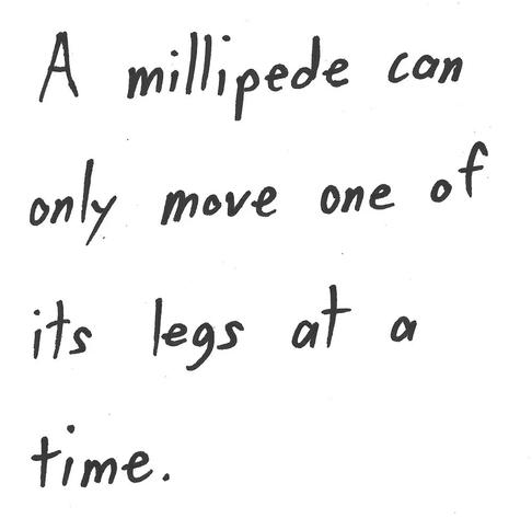 A millipede can
only move one of
its legs at a
time.