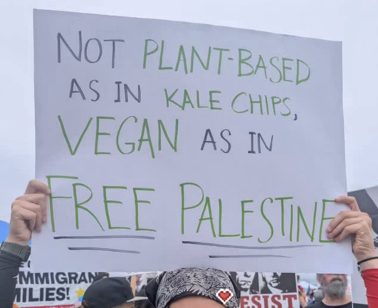 Person holding a sign that reads: “Not plant-based as in kale chips, vegan as in free Palestine”