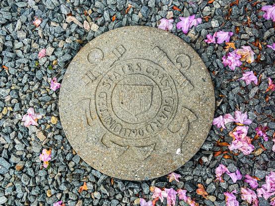 A round concrete medallion is set into a bed of small, dark gray gravel. The medallion is engraved with the seal of the U.S. Coast Guard, featuring a life ring design with a shield in the center, two crossed anchors, and the words "UNITED STATES COAST GUARD 1790" carved around it. Scattered around the medallion are fallen pink and purple flower petals.