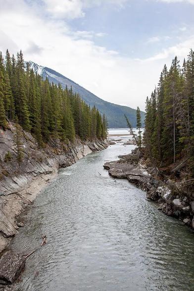 Discover the serene beauty of Stewart Canyon in Banff, showcasing a tranquil river framed by lush pine forests within the majestic Canadian Rockies.